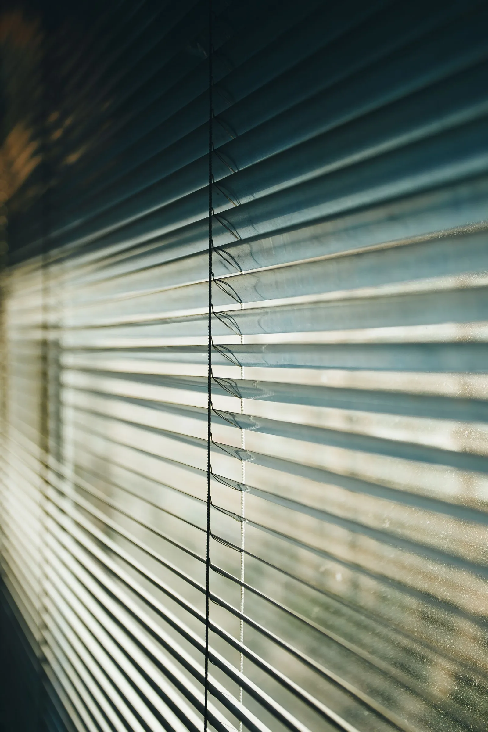 Vista Fabrics Venetian Blinds