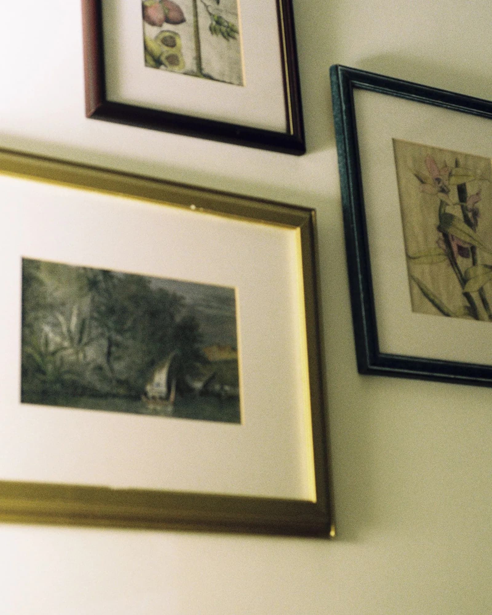 Munshi Metallic Canvas Frames
